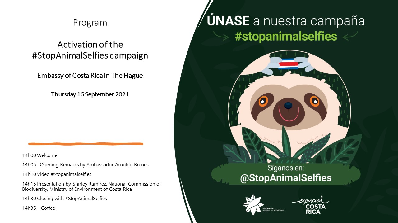 Costa Rica Stop Animal-Selfies – Diplomat magazine